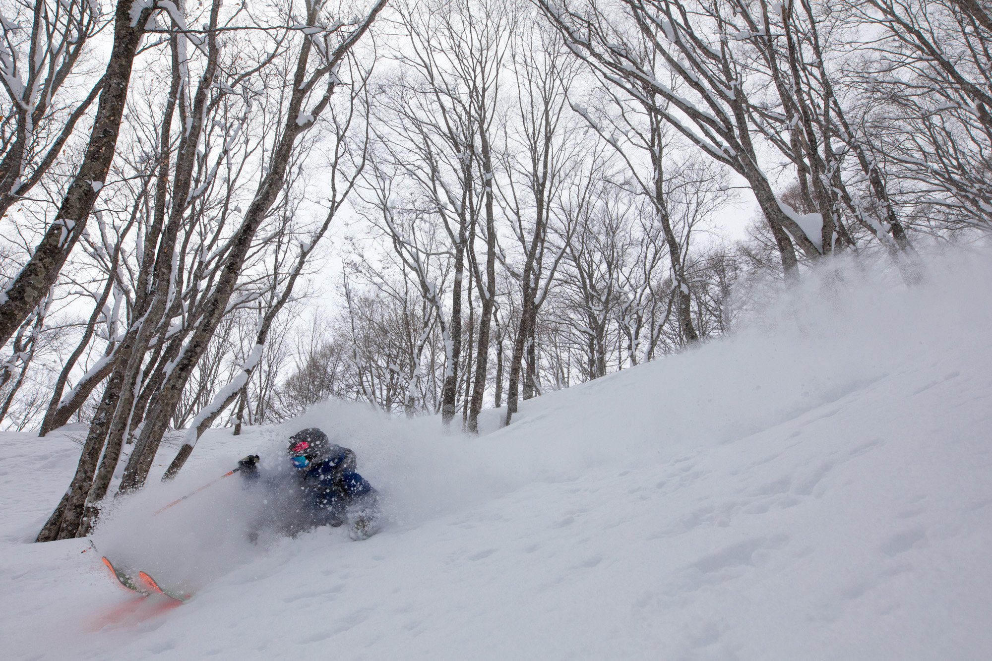 Zoya-Lynch-Skiing-Photography-Japan-176.jpg