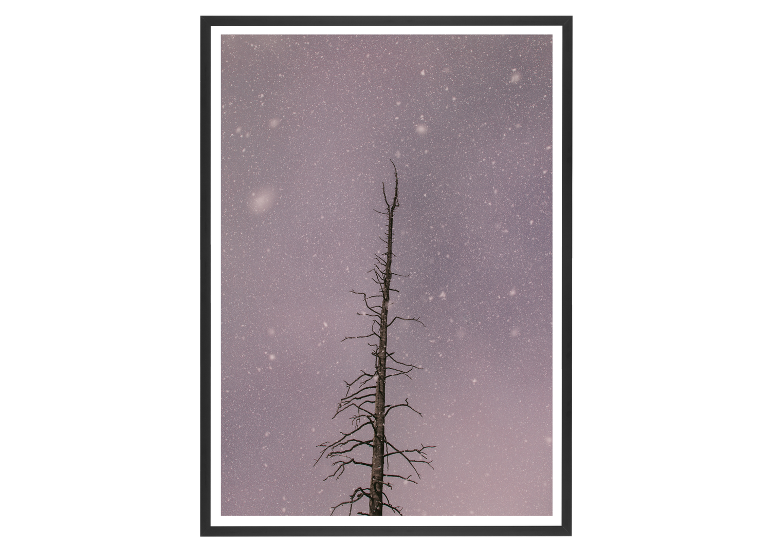 Shop Photography Wall Artwork and Landscape Pictures — Zoya Lynch