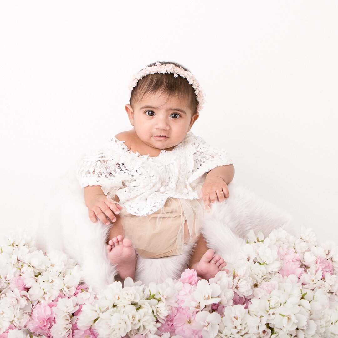 Cherry Blossoms in our sitting session, why not?! 

We get so many questions about these sessions, so I am breaking down a few of them here.... 

Who - We suggest having this session captured once your baby is sitting (anywhere from 5 - 8 months). Or