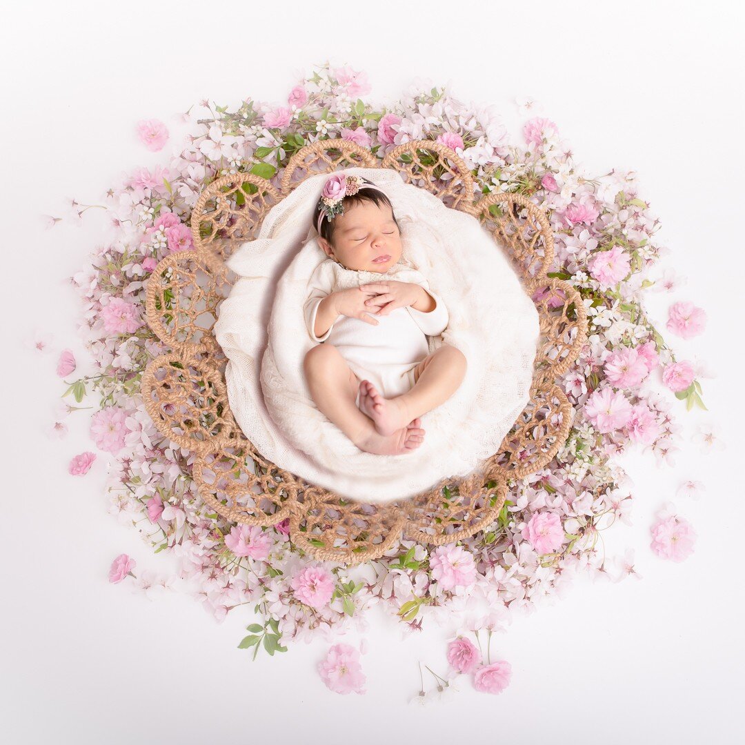 We are all about the backdrops at Mark Your Moments. And we are completely in love with these two. 

These are open to all of our clients as an added element to their newborn sessions! 

And, great news, soon these backdrop options will be open to ot