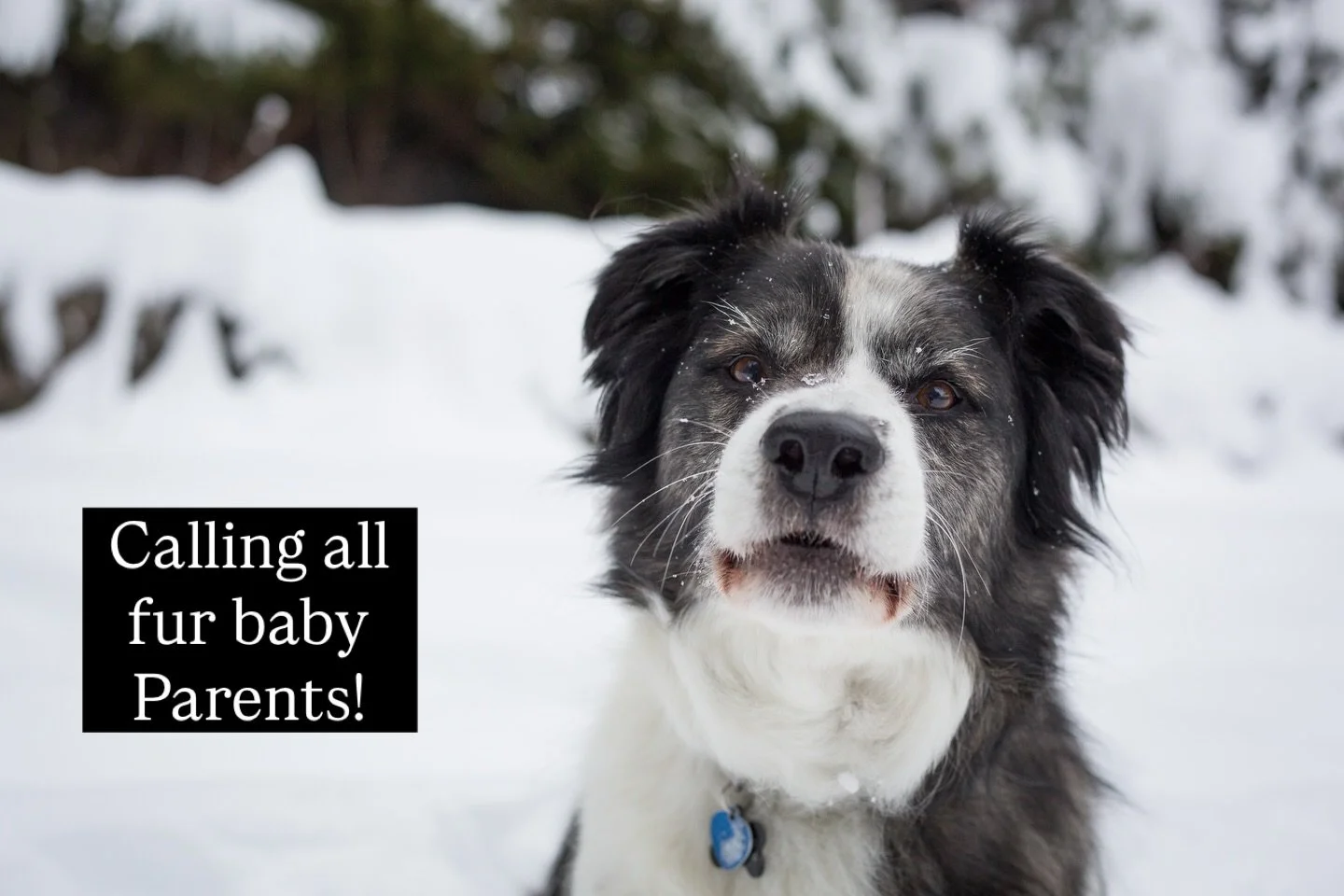 I miss our first born everyday x 

So lucky to have him be a part of our lives. Just gone too soon. 

I treasure all the photos with all the happy memories. 

#vancouverfamilyphotos #vancouverphotographer #vancouver #vancouver