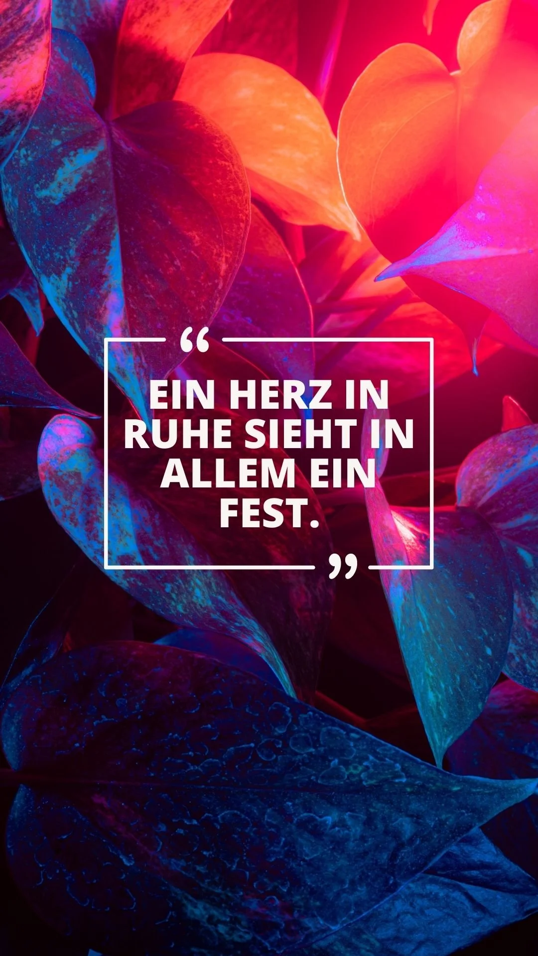 Achtsamkeit Die 55 schönsten Sprüche und Zitate