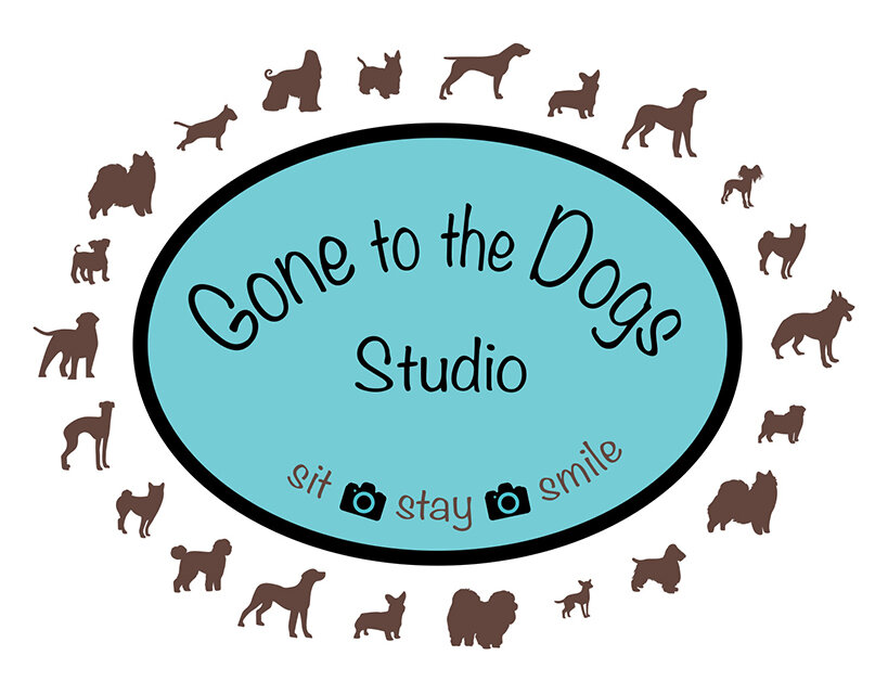 Gone to the Dogs Studio