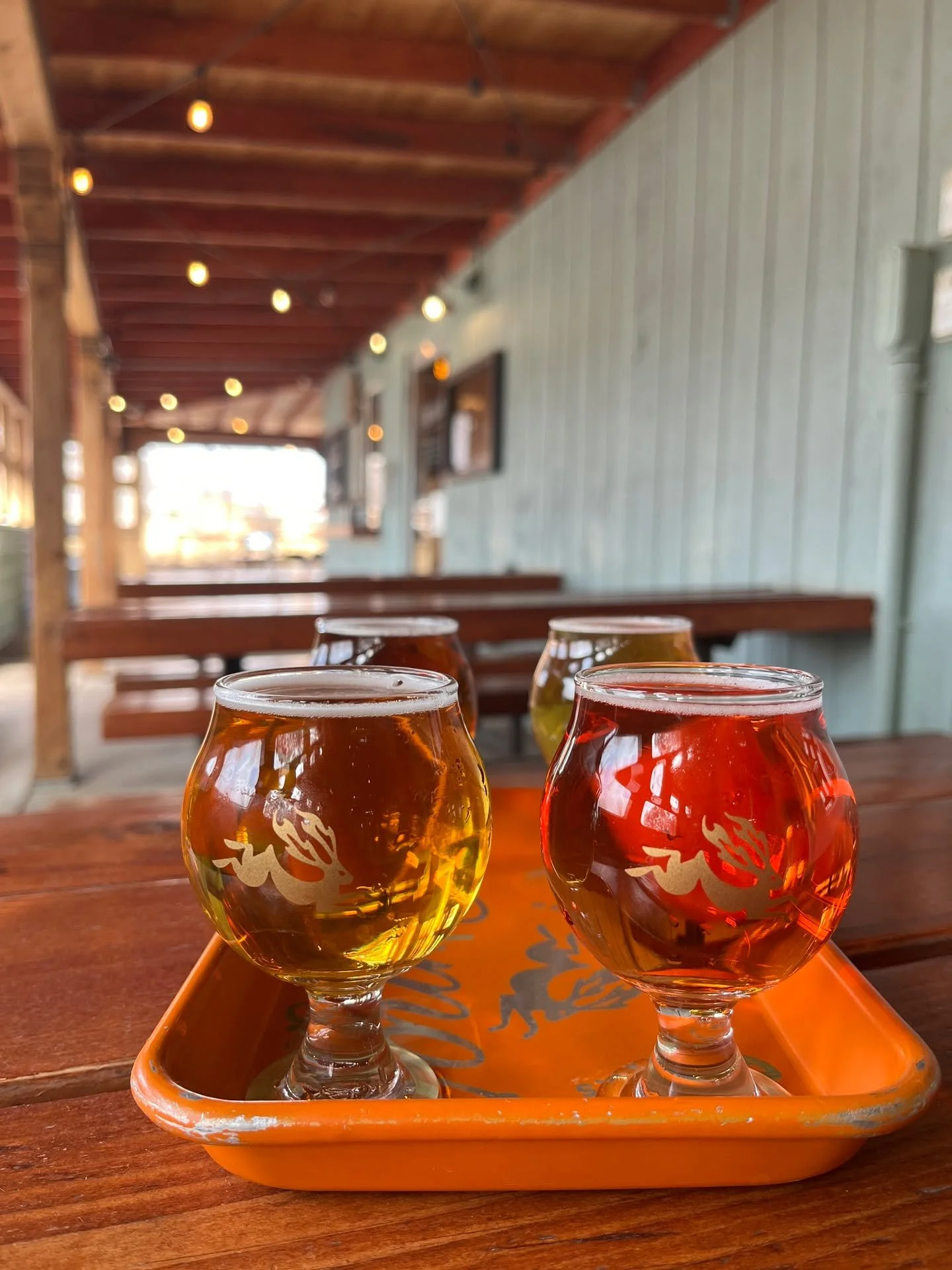 Can&rsquo;t decide? You don&rsquo;t have to. 🍻 Come grab a flight to learn your favorite Rumor beer!

_
#CedarCrestNM #RumorBrewing #NMBeer #NMEats #EastMountains
