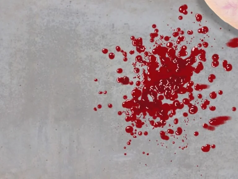 "The Abattoir" - Lisa Lee Herrick (May 19, 2018)