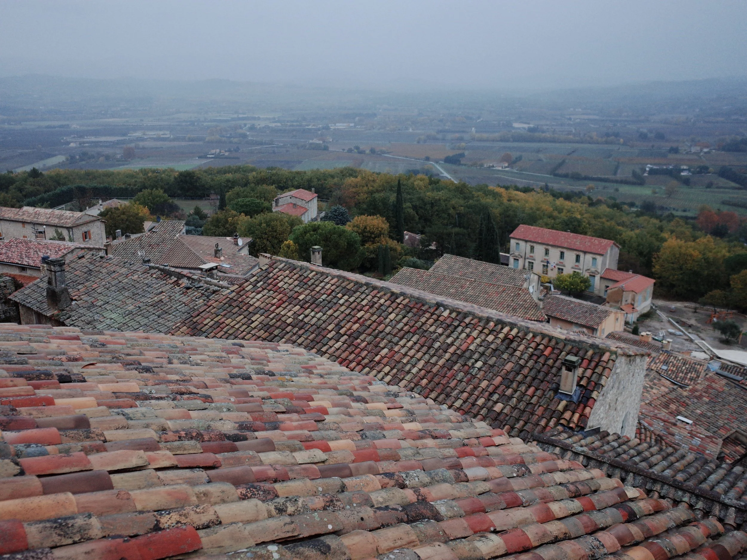 processed_R0040798.JPG