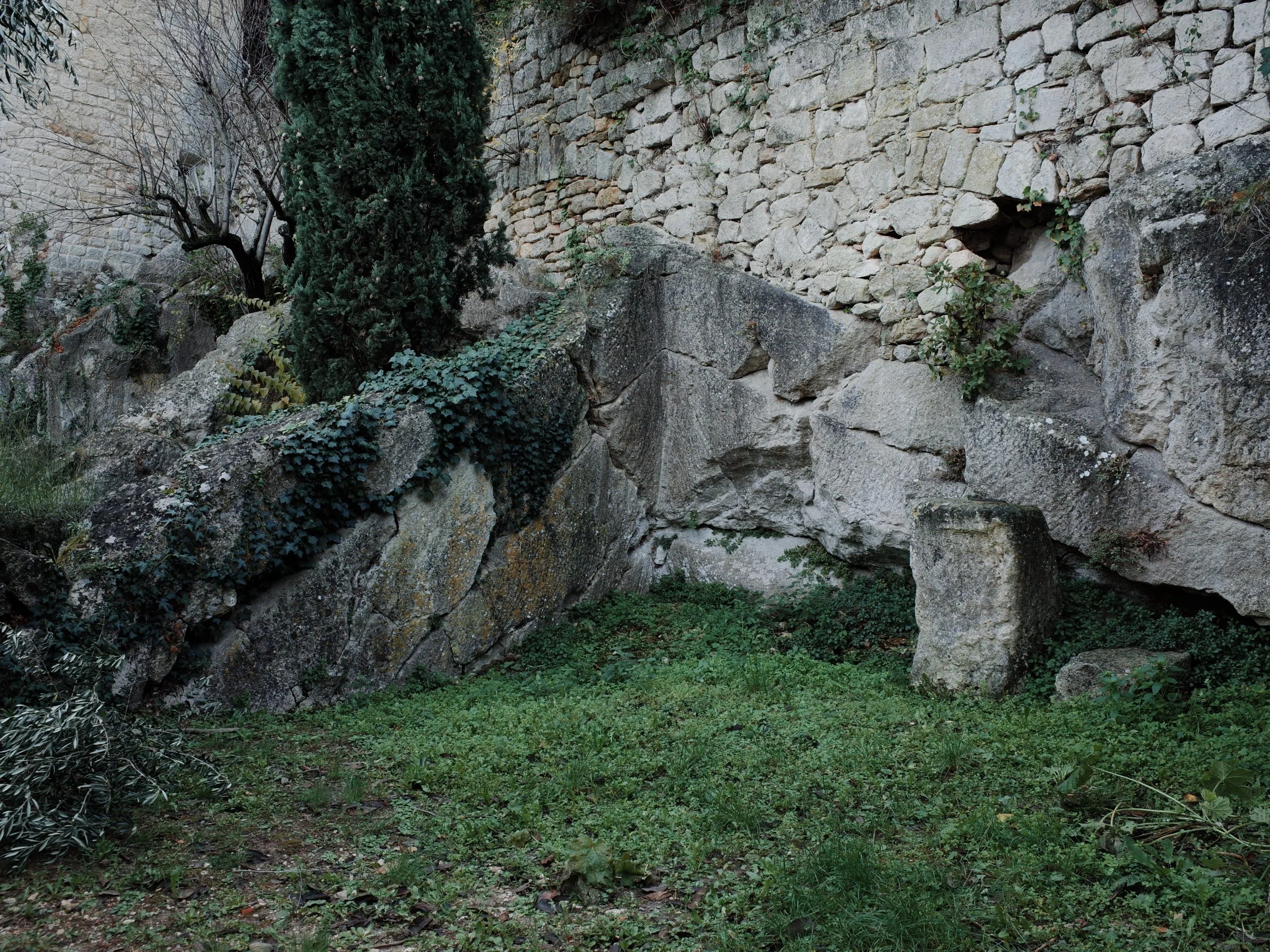 processed_R0041001.JPG