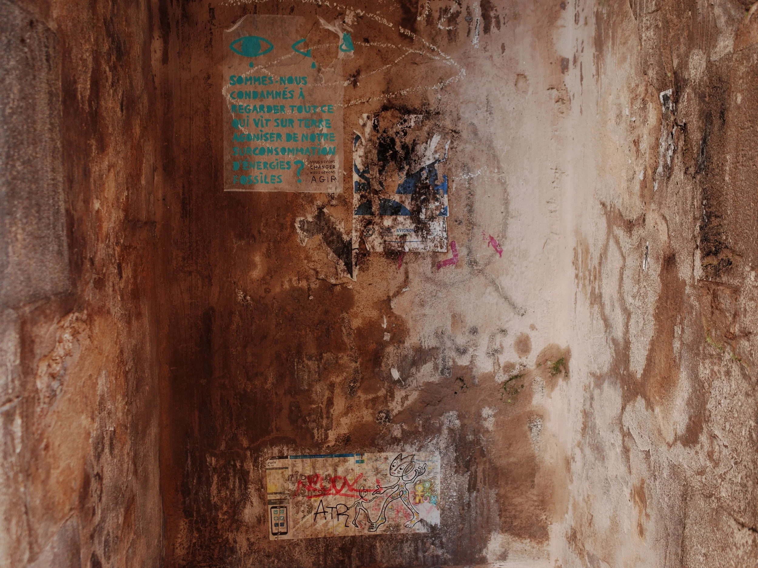R0041429.JPG