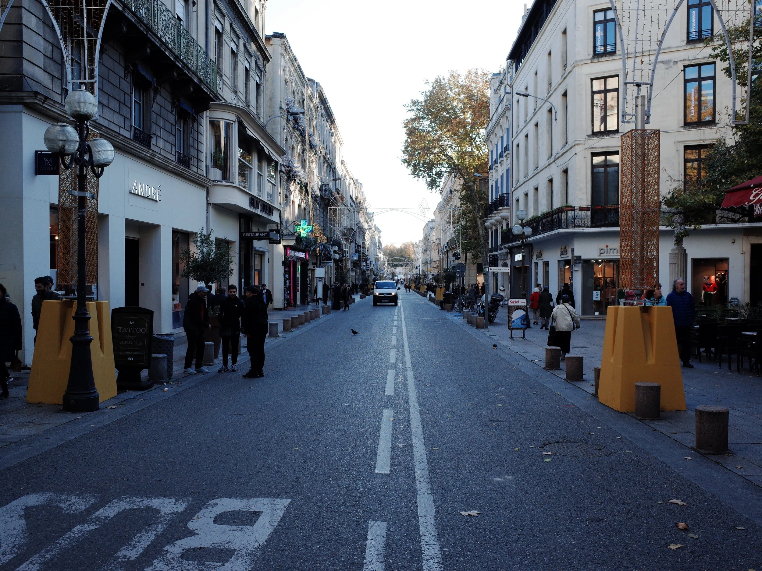 R0041508.JPG
