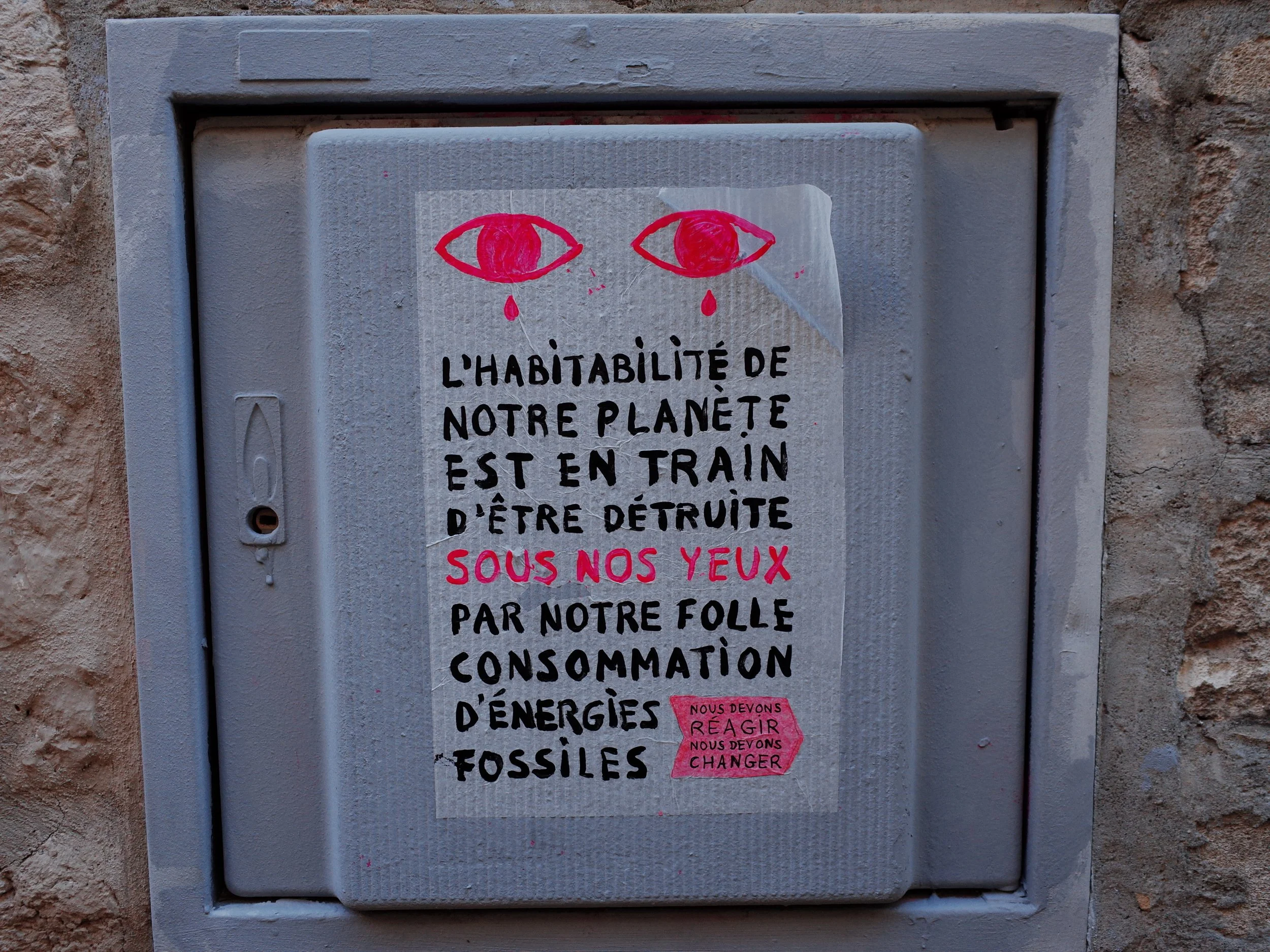 R0041532.JPG