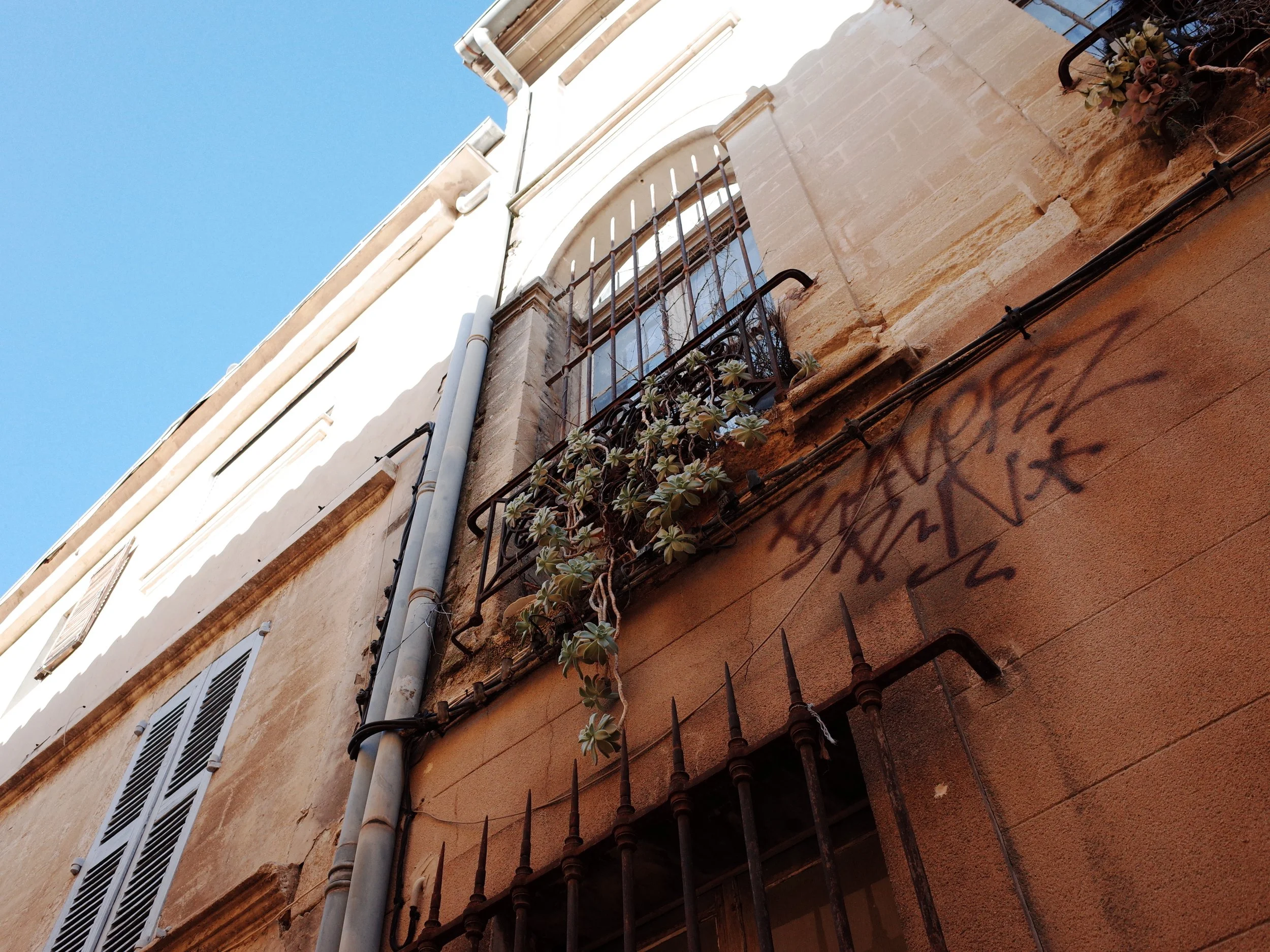 R0041407.JPG