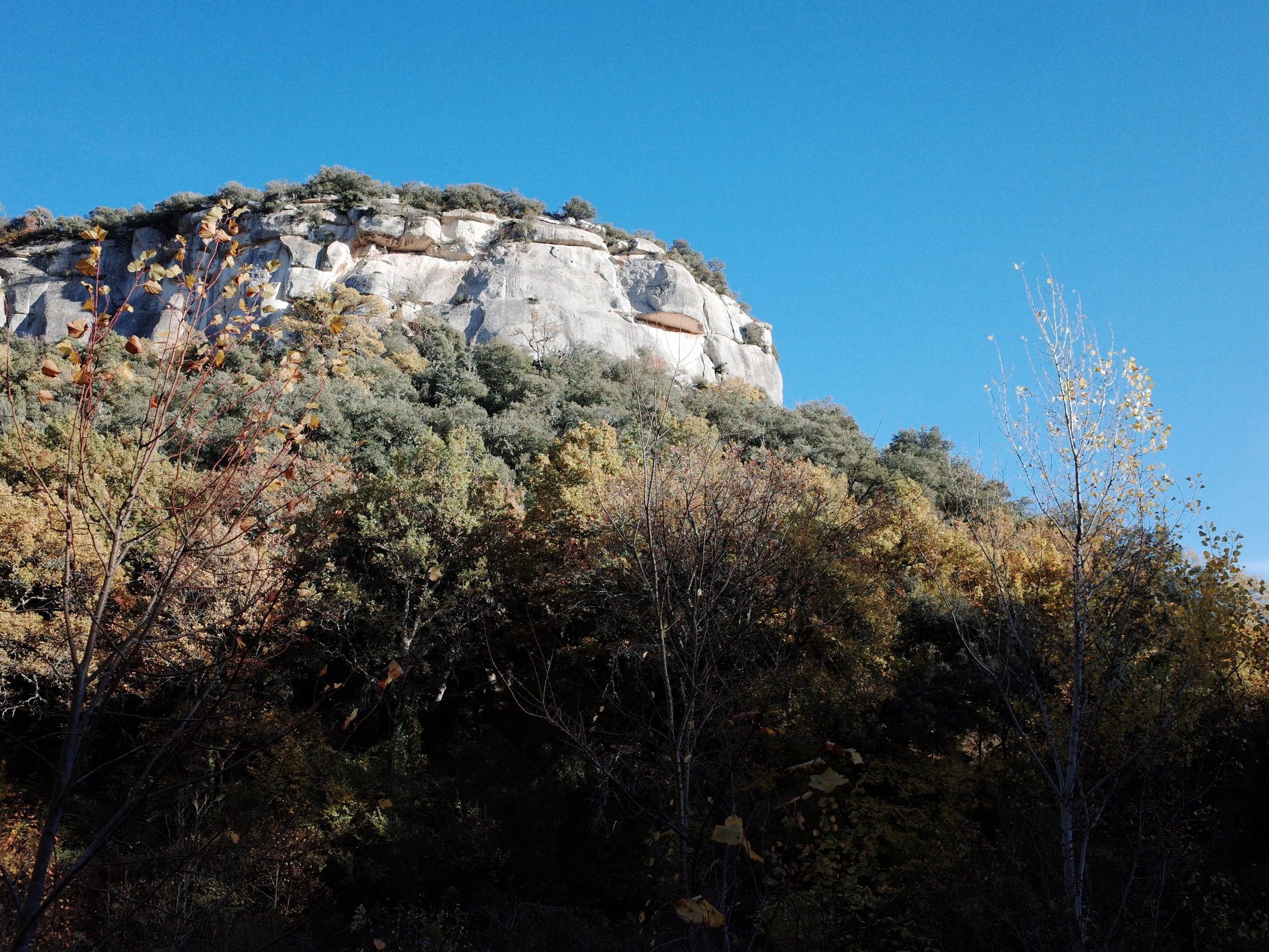 R0041685.JPG