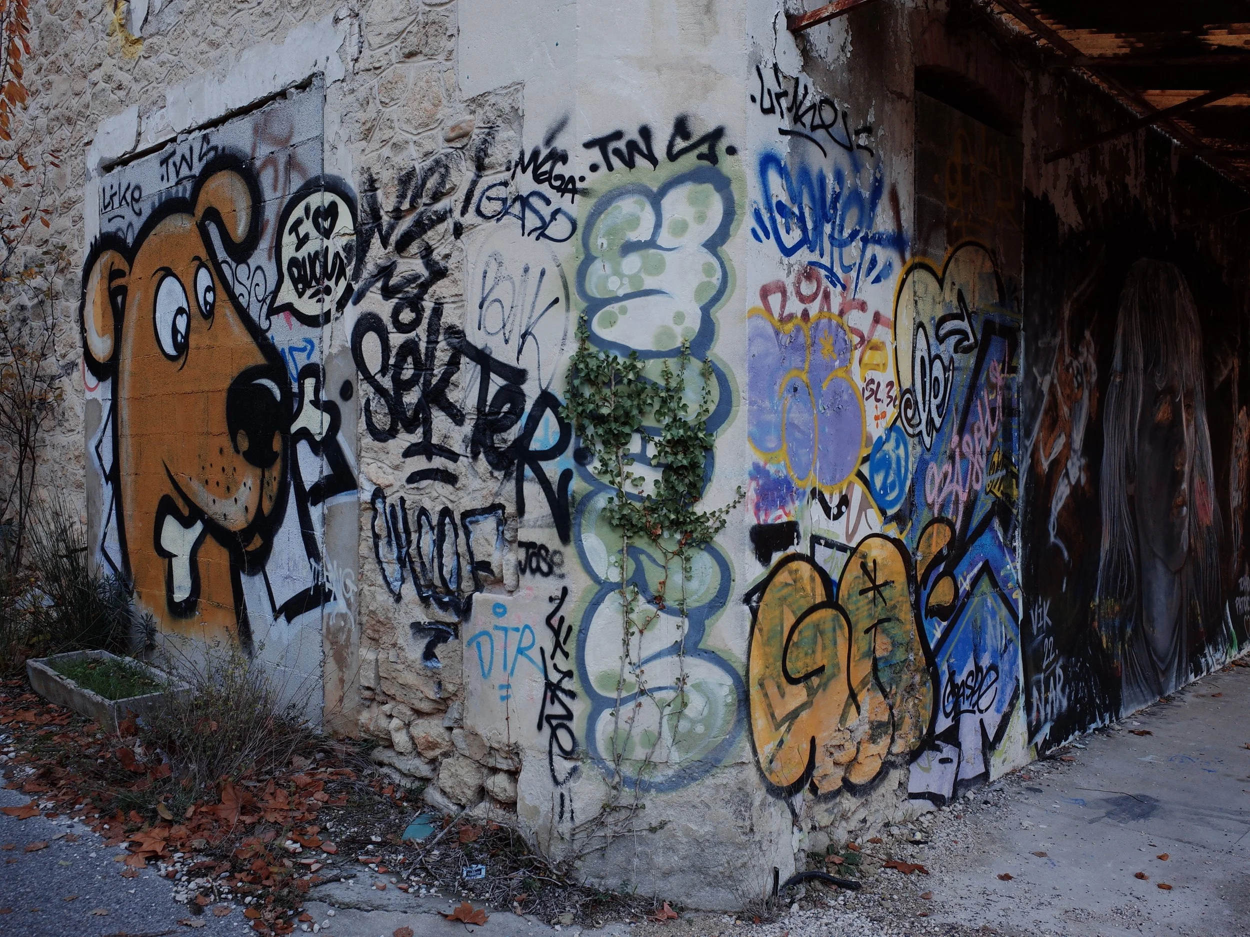 R0041691.JPG