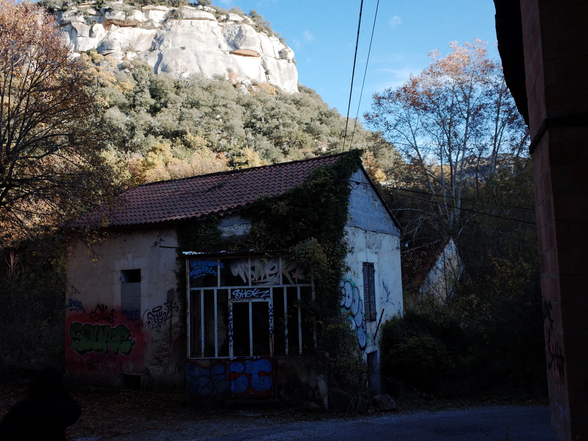 R0041715.JPG