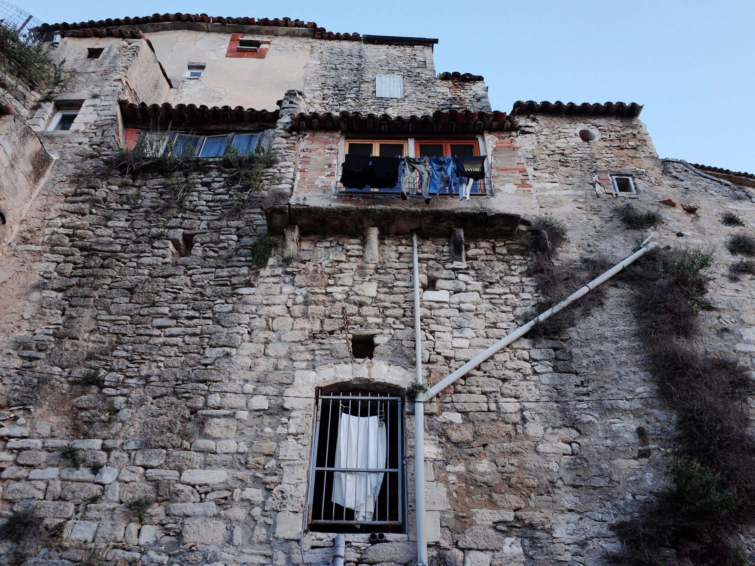 R0041828.JPG