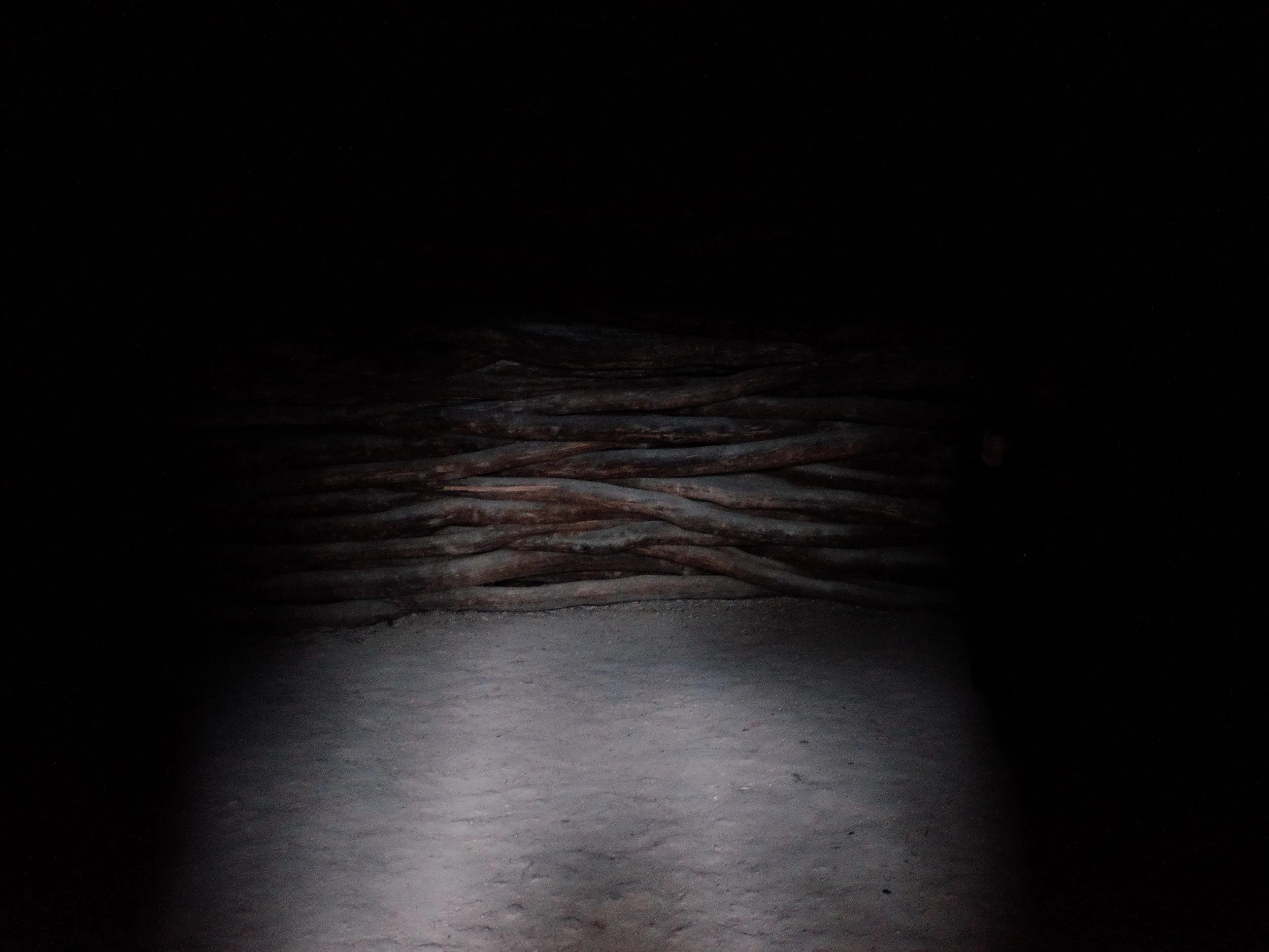 R0041936.JPG