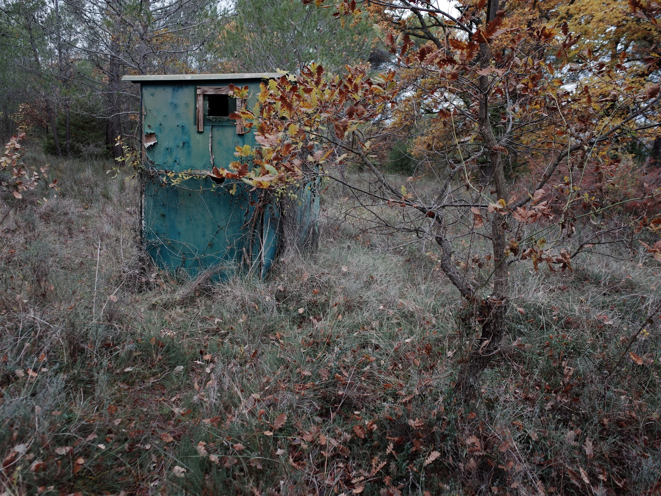 R0041975.JPG