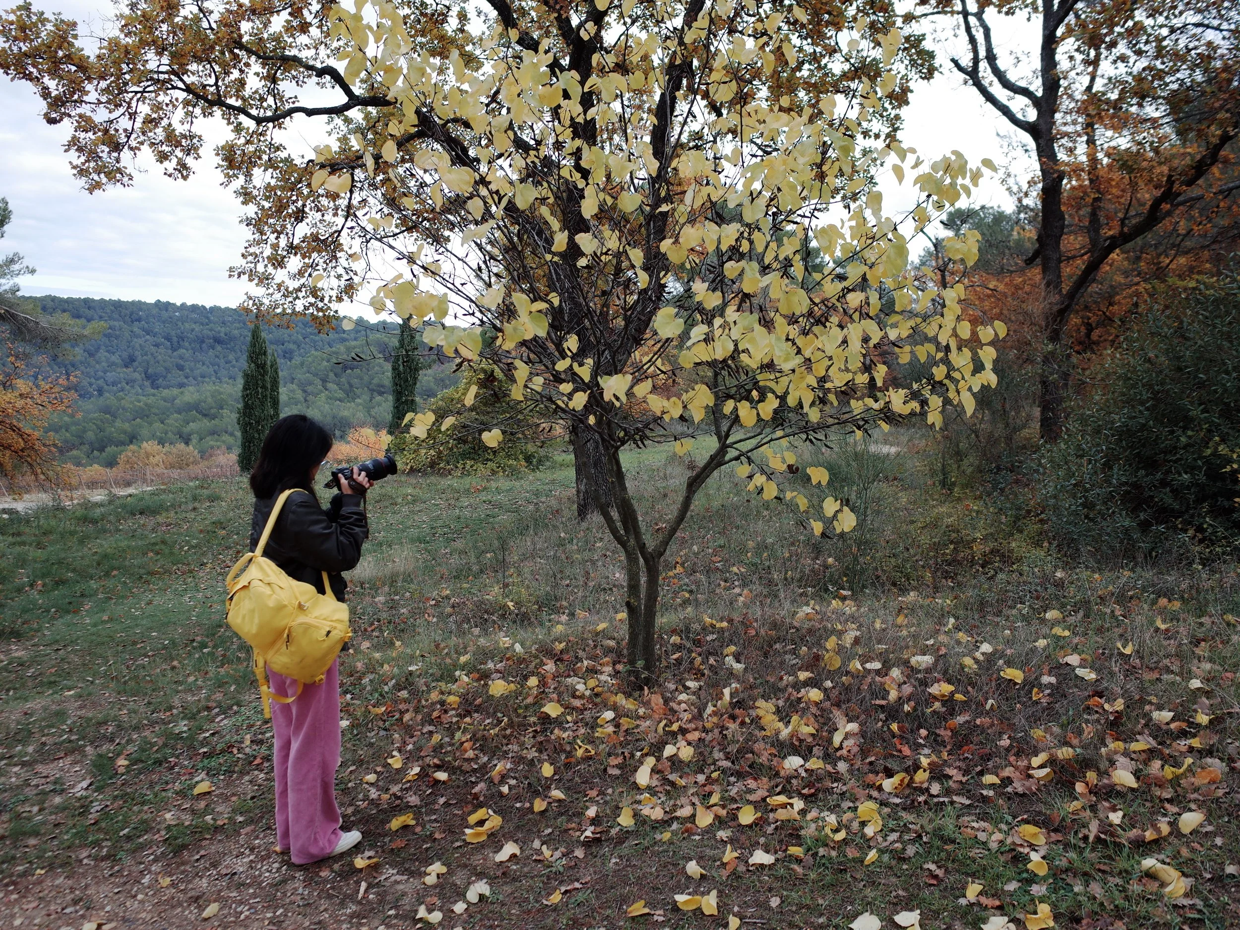 R0041992.JPG