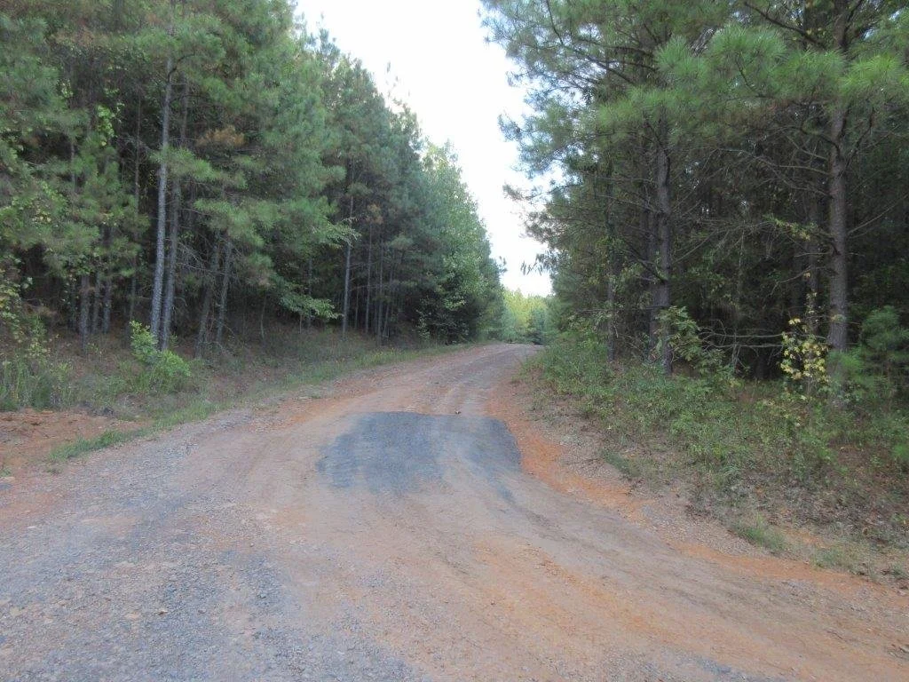 Yell County Real Estate Auction 778.72 ACRES — Blackmon Auctions