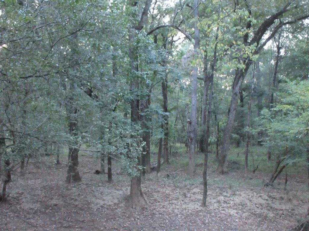 Yell County Real Estate Auction 778.72 ACRES — Blackmon Auctions