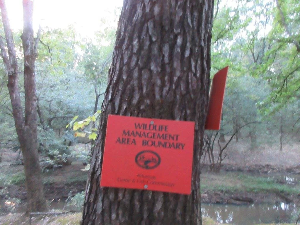 Yell County Real Estate Auction 778.72 ACRES — Blackmon Auctions