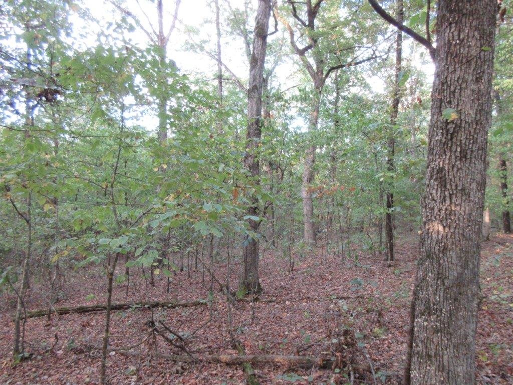 Yell County Real Estate Auction 778.72 ACRES — Blackmon Auctions