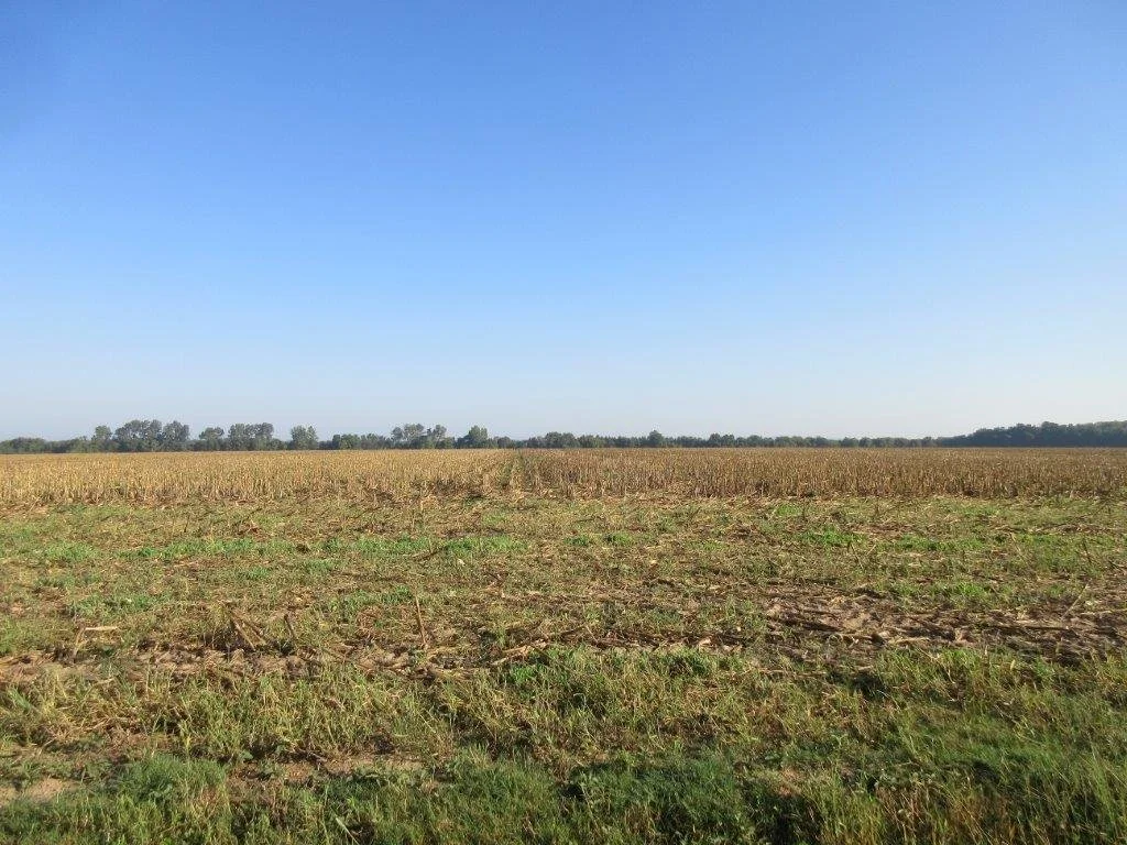 Yell County Real Estate Auction 778.72 ACRES — Blackmon Auctions