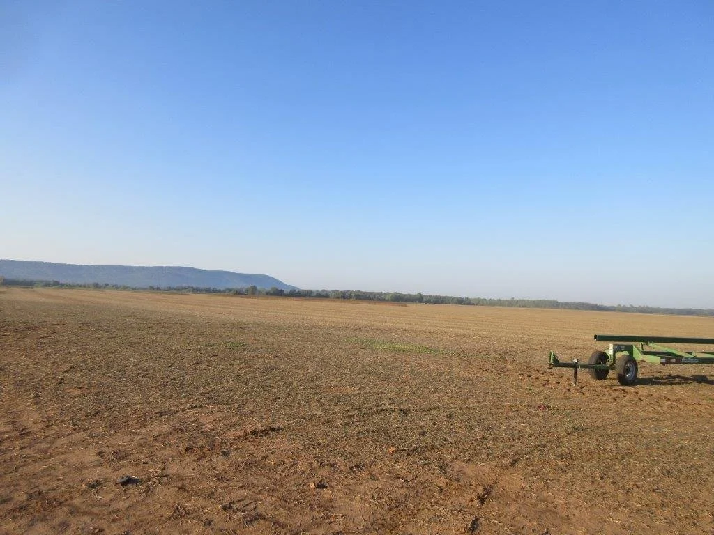 Yell County Real Estate Auction 778.72 ACRES — Blackmon Auctions