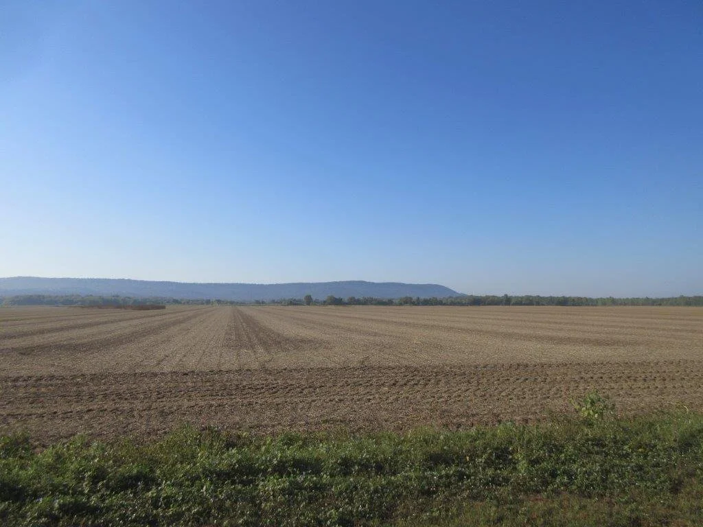 Yell County Real Estate Auction 778.72 ACRES — Blackmon Auctions