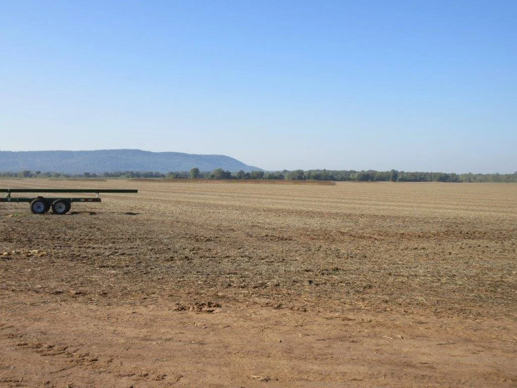 Yell County Real Estate Auction 778.72 ACRES — Blackmon Auctions