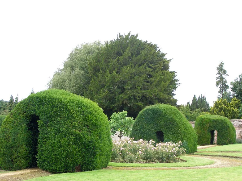 highclere_castle_hedges_original.jpg