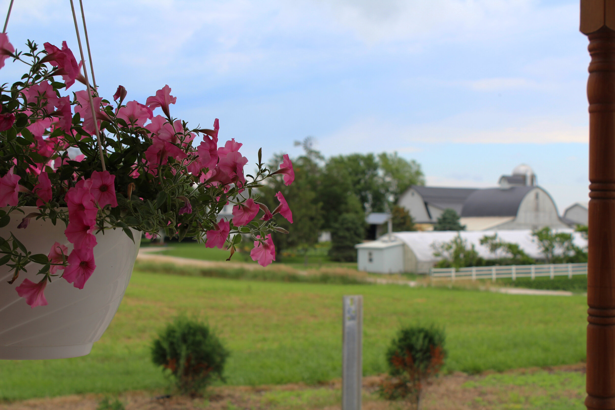 kalona iowa amish tours