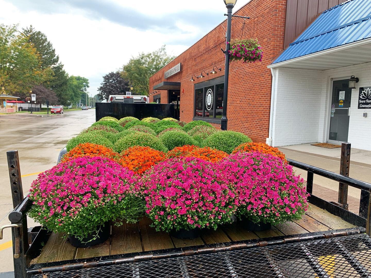 Mums are here next to @kalonabrewery! Come get them and support the Mid-Prairie Home School Program.

They&rsquo;re here until noon today!