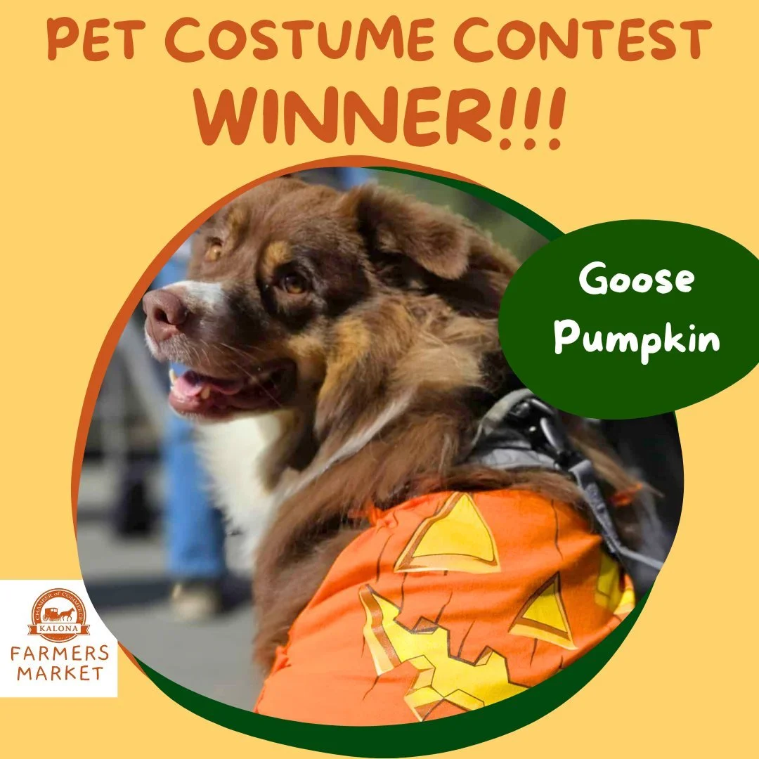 Results are in and the winner of the 2025 Kalona Market pet costume contest with 26 combined votes is... Goose the Pumpkin!
Congratulations Hayley Yoder, your pup has won the Kalona Kash and bandana prize!
Thank you to everyone who participated and