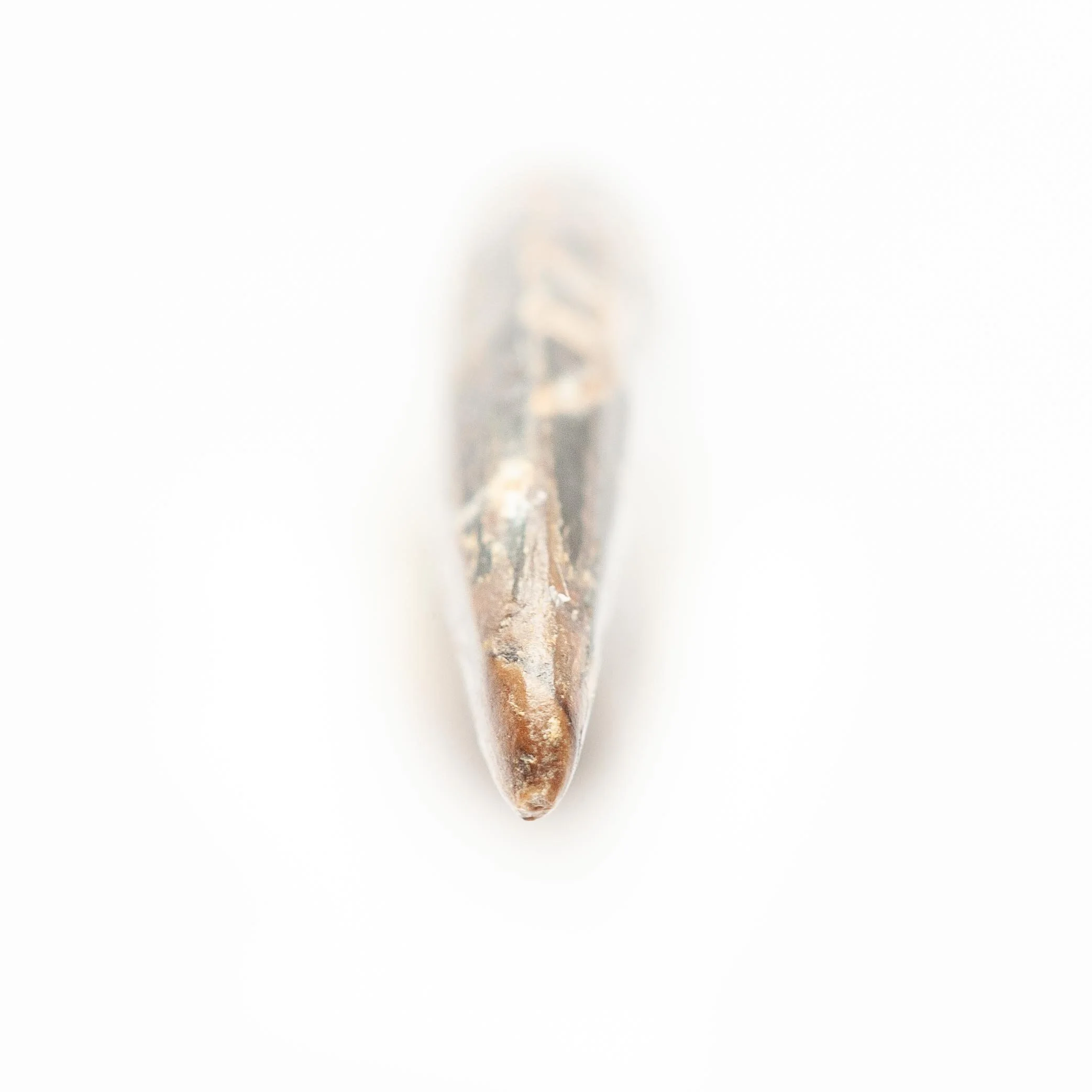 SQ6758655-26.jpg