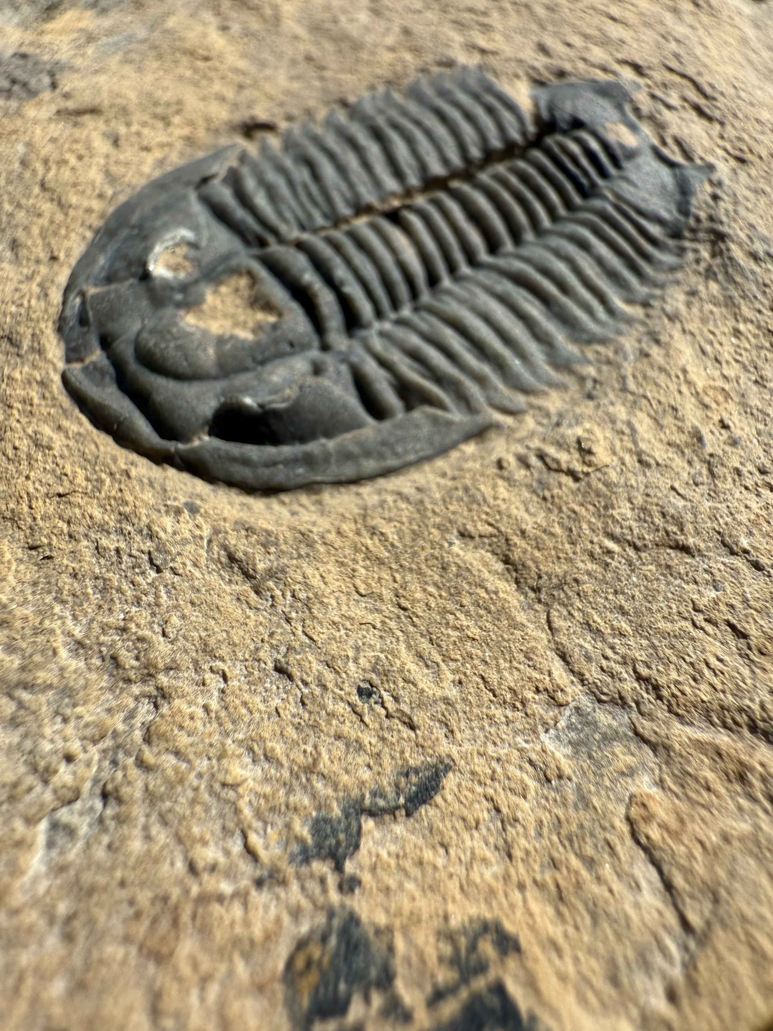 sq6632414-iphone-3.jpg