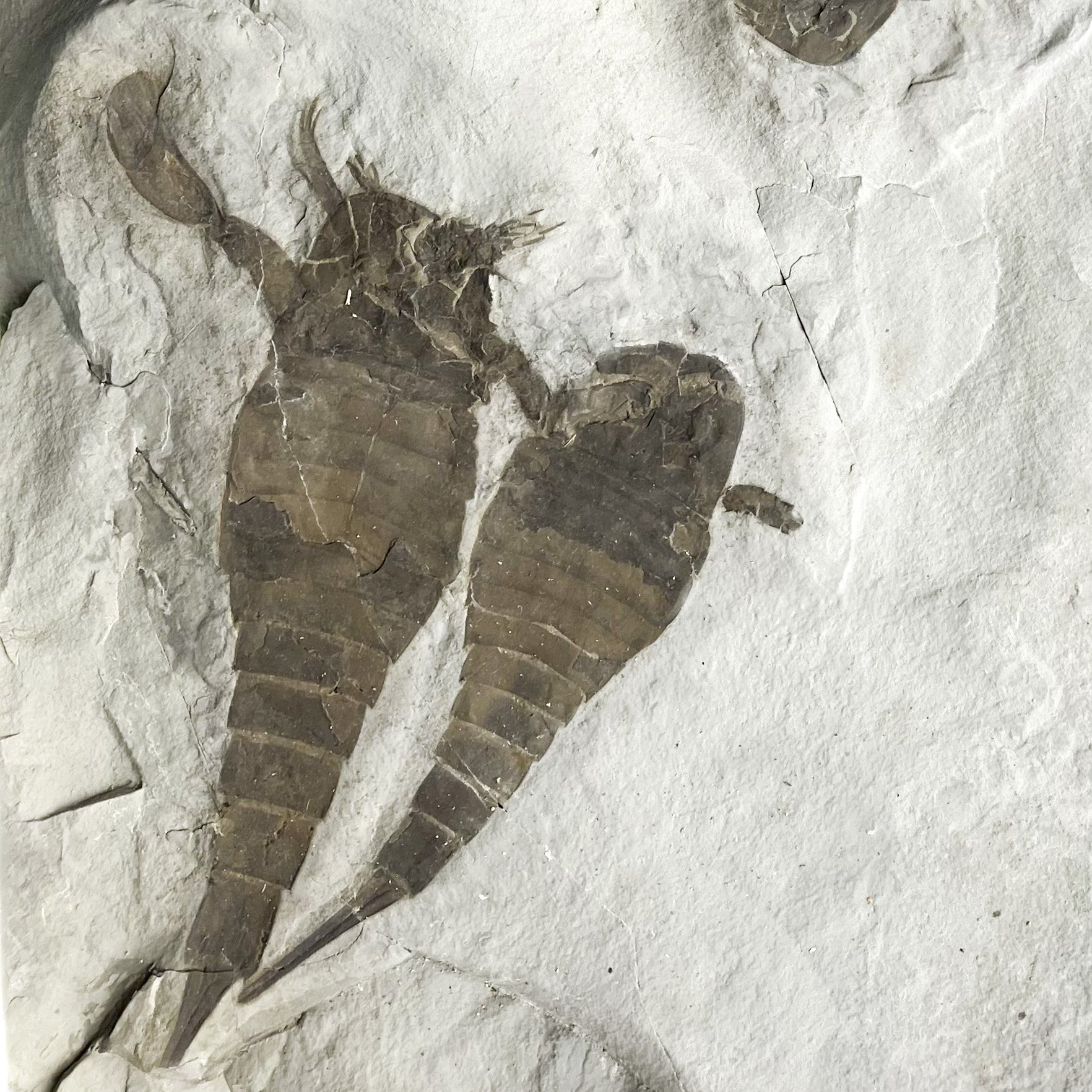 AS-4-image10-Edit-3.jpg