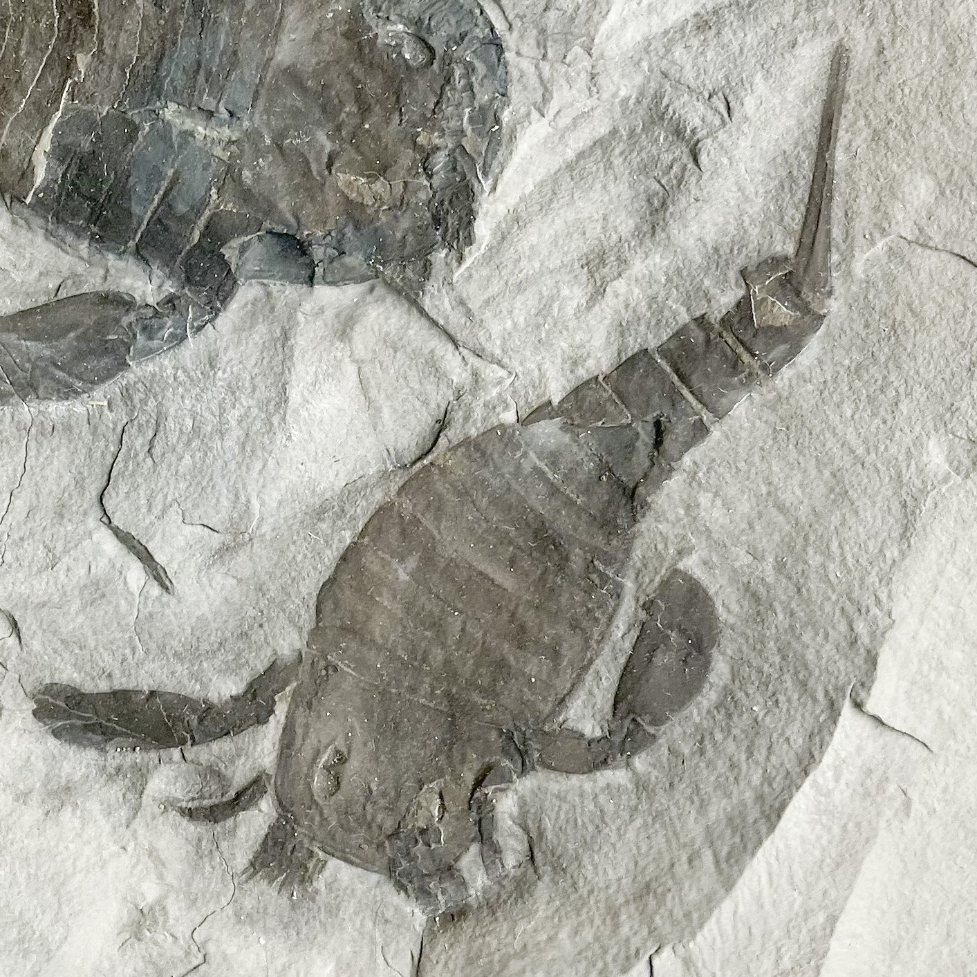 AS-2-image7-Edit-3.jpg