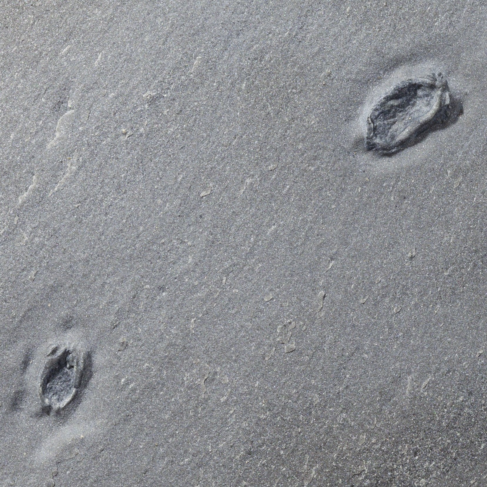 SQ1363077-1-2.jpg