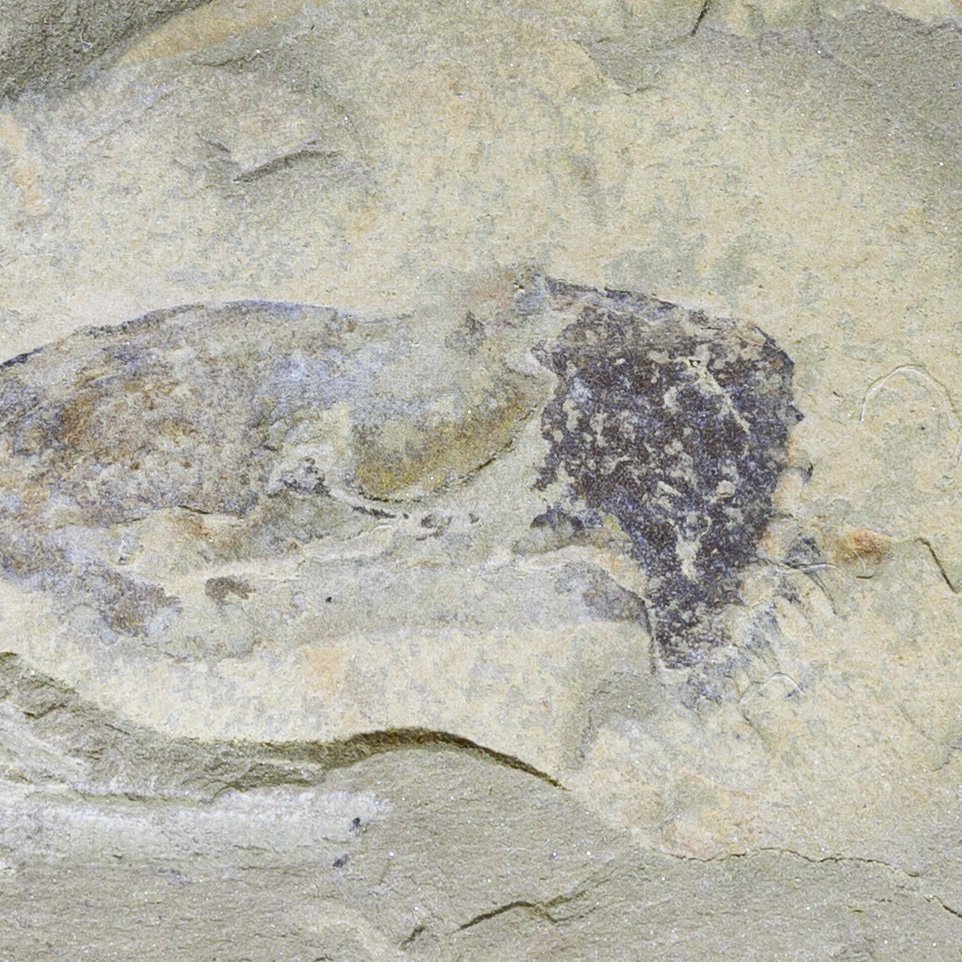 SQ7611071-3-2.jpg
