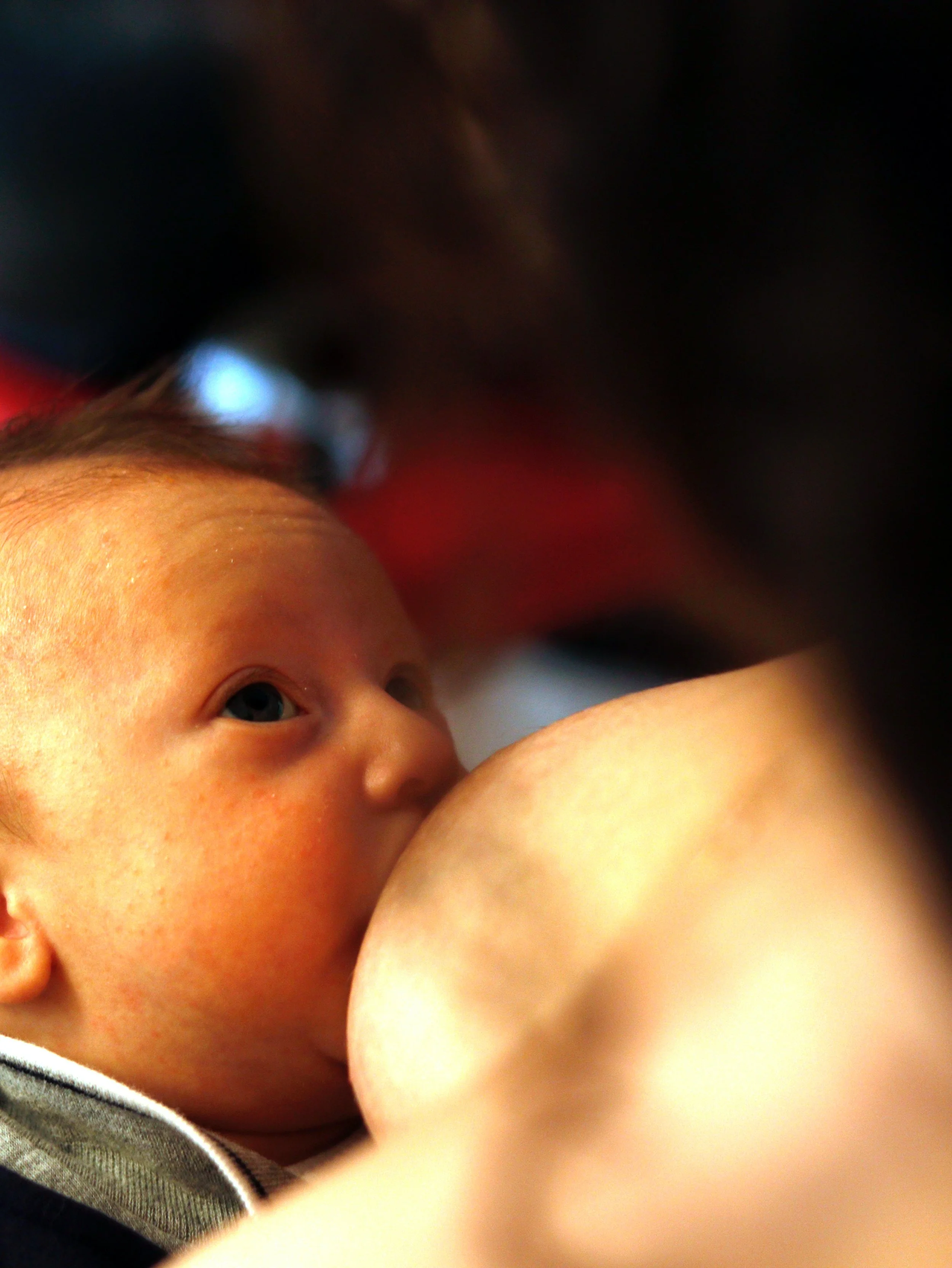 In Touch Pediatrics and Lactation, PLLC: Cindy Rubin, MD, IBCLC, FAAP