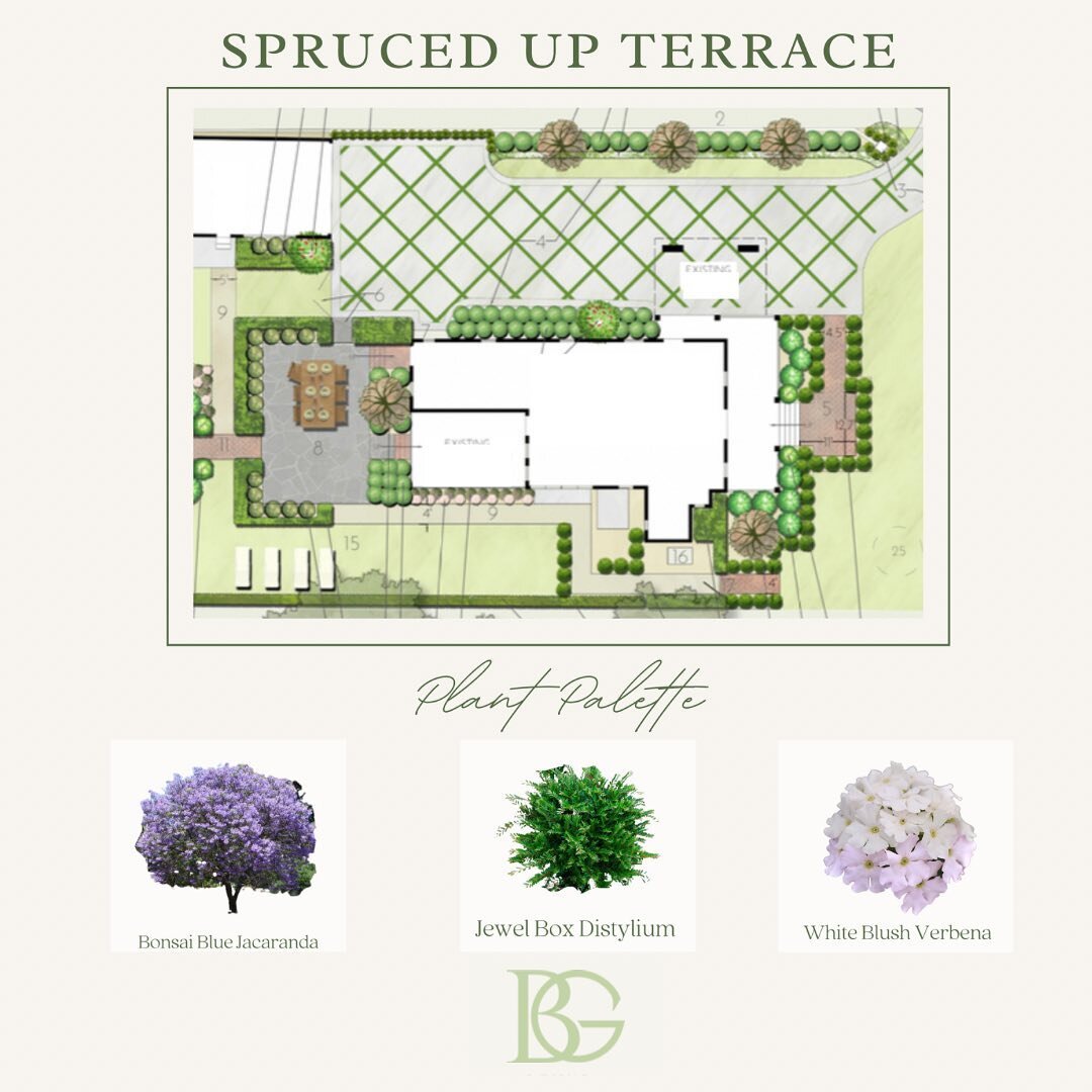 This client wanted a pretty terrace for hosting outdoor gatherings. We granted her wish by designing the perfect space, surrounded by a calming plant palette: jewel box distylium, white blush verbena, and bonsai blue jacaranda for a lovely pop of col