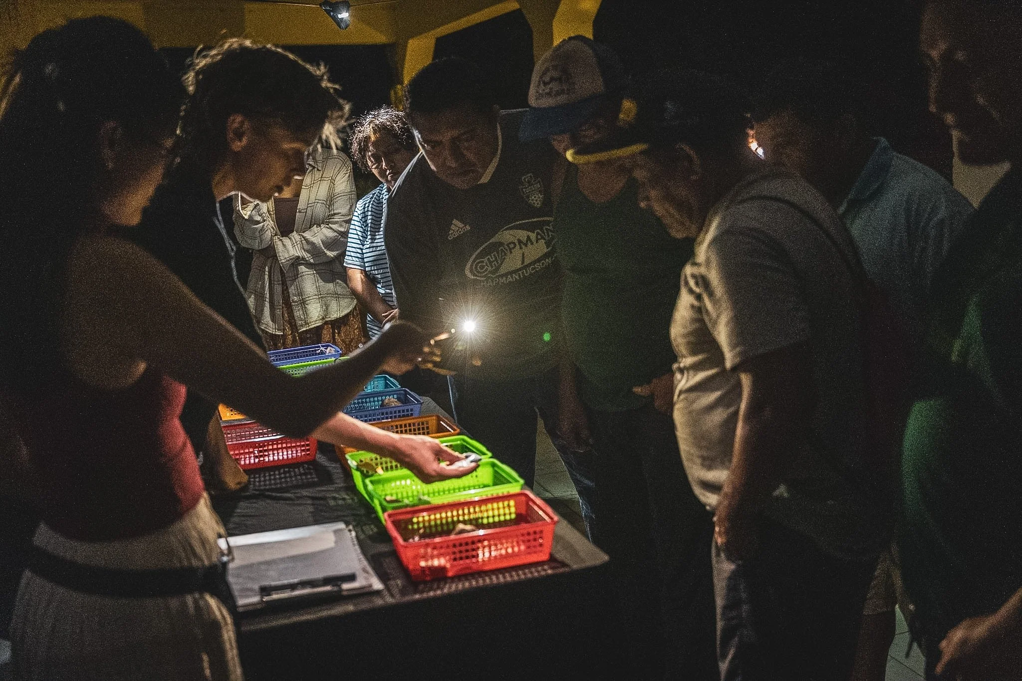 Artifact exhibition in Yaxunah, 2026