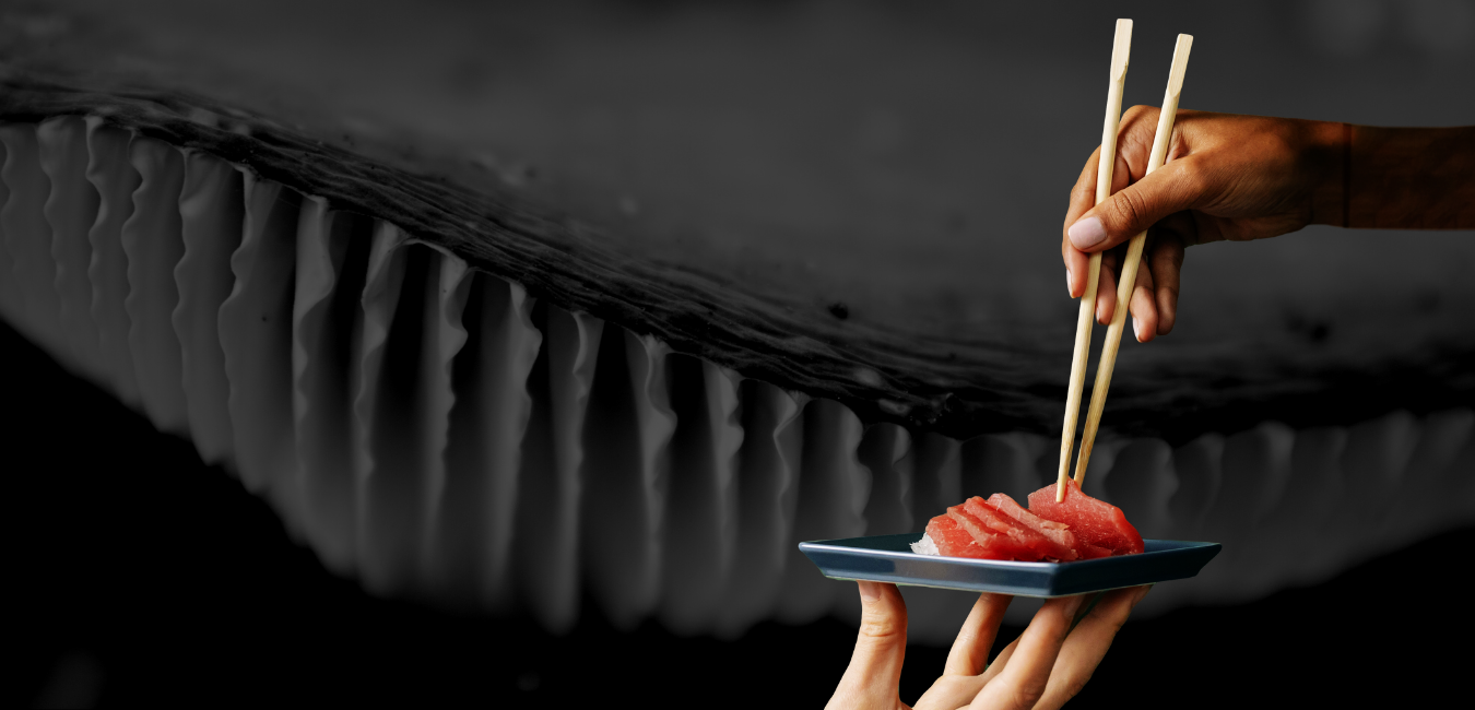 Aqua Cultured Foods Sustainable Seafood Alternatives