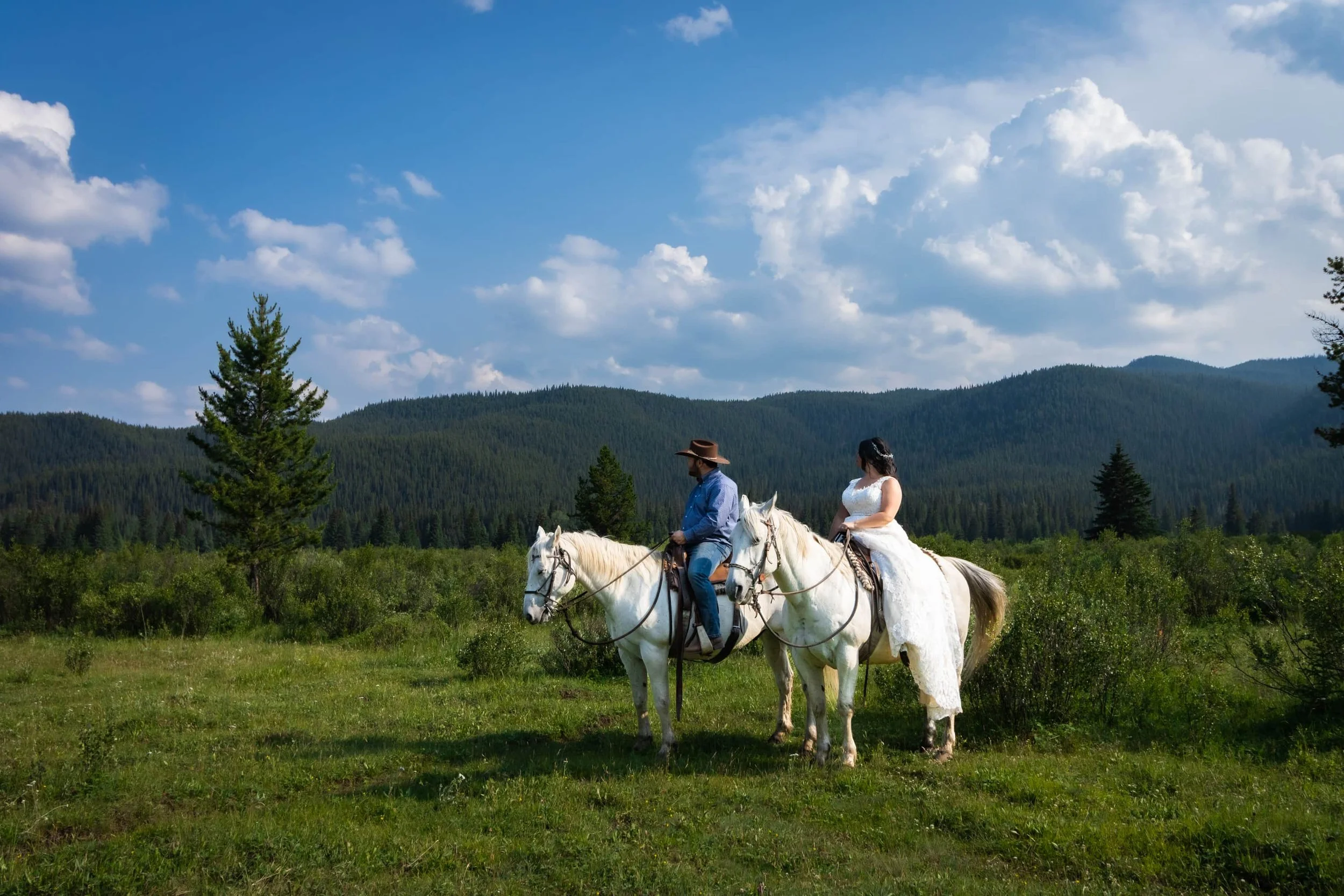 Vanessa-and-Peter's-Wedding-Short Pixel-385.jpg