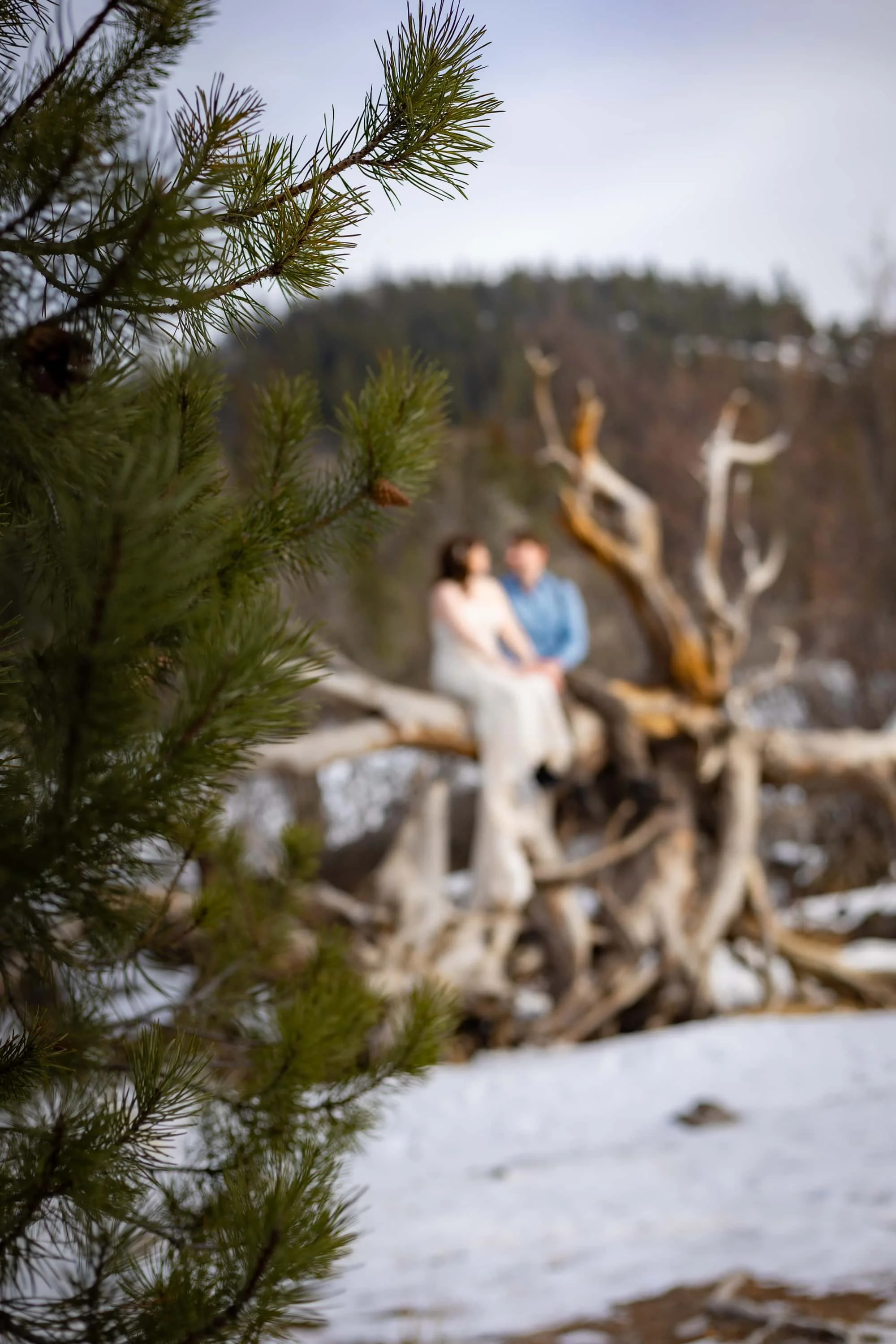 Kylie&matt-wedding-34.jpg