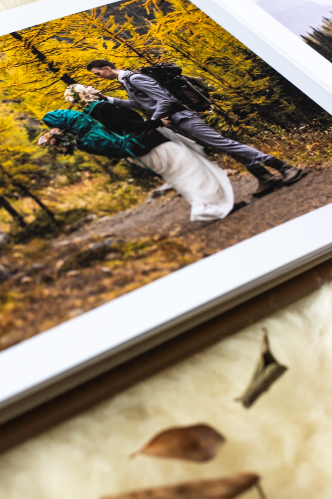 website-14-3.jpg