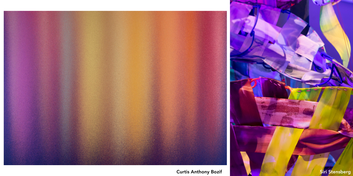 Spotlight Exhibition Series Curated by Shane McAdams