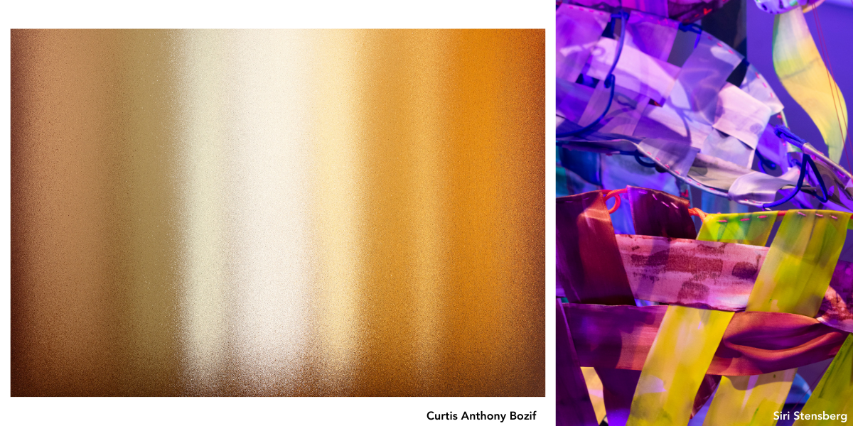 Spotlight Exhibition Series Curated by Shane McAdams