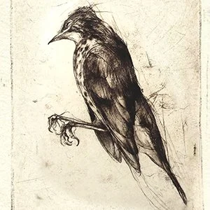 Drypoint Printmaking | Don Krumpos | Saturday, Feb 14 | 9:00 AM-4:00 PM
